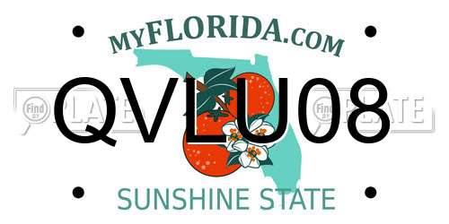 QVLU08 Florida License Plate