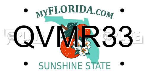 QVMR33 Florida License Plate