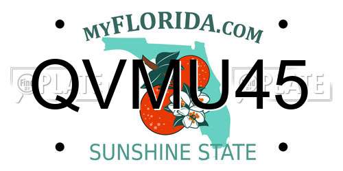 QVMU45 Florida License Plate