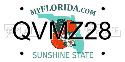 QVMZ28 Florida License Plate