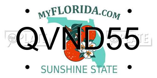 QVND55 Florida License Plate