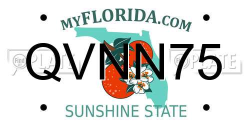 QVNN75 Florida License Plate