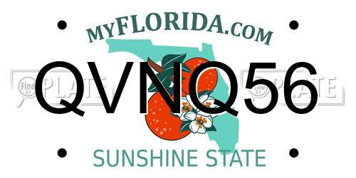 QVNQ56 Florida License Plate