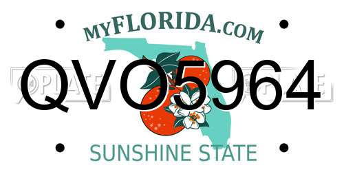 QVO5964 Florida License Plate