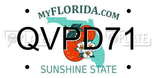 QVPD71 Florida License Plate