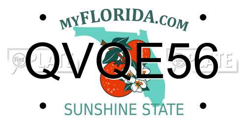 QVQE56 Florida License Plate