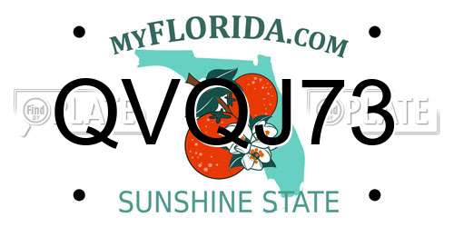 QVQJ73 Florida License Plate