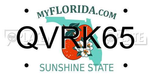 QVRK65 Florida License Plate
