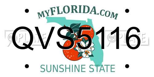 QVS5116 Florida License Plate