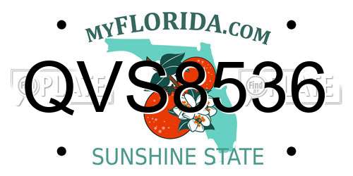 QVS8536 Florida License Plate
