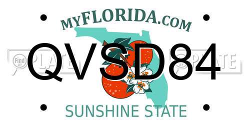 QVSD84 Florida License Plate