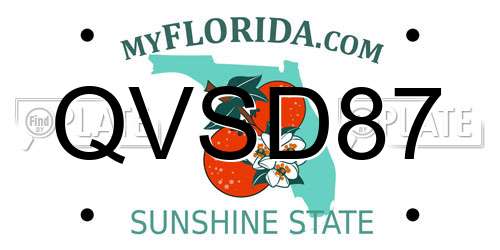 QVSD87 Florida License Plate