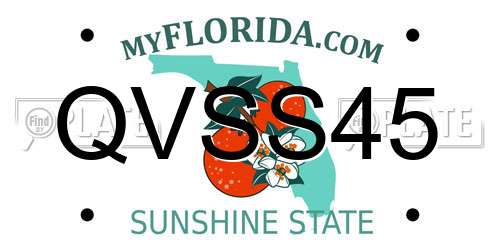 QVSS45 Florida License Plate