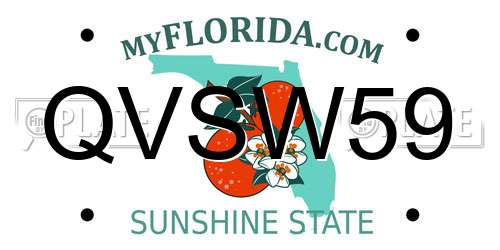 QVSW59 Florida License Plate