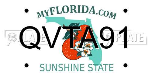 QVTA91 Florida License Plate