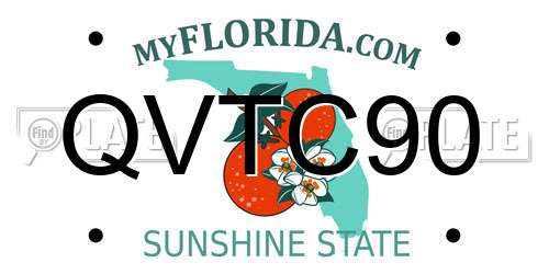 QVTC90 Florida License Plate