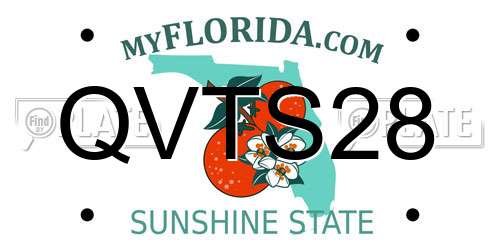 QVTS28 Florida License Plate