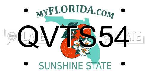 QVTS54 Florida License Plate