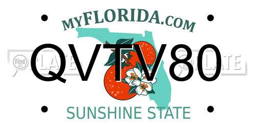 QVTV80 Florida License Plate