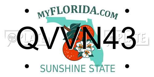 QVVN43 Florida License Plate