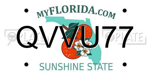 QVVU77 Florida License Plate