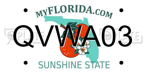 QVWA03 Florida License Plate