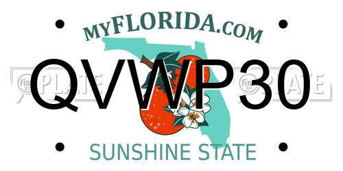 QVWP30 Florida License Plate