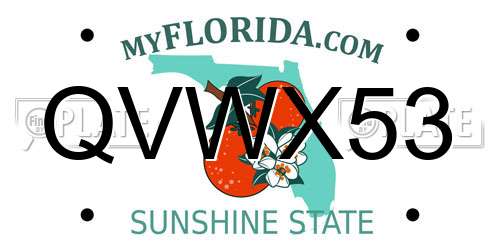 QVWX53 Florida License Plate