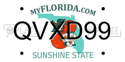 QVXD99 Florida License Plate