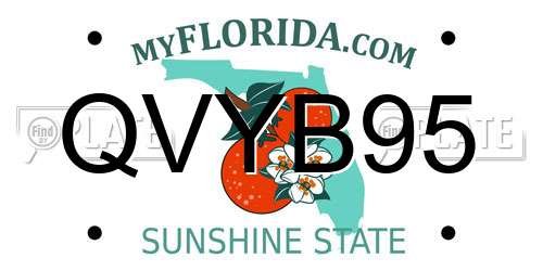 QVYB95 Florida License Plate