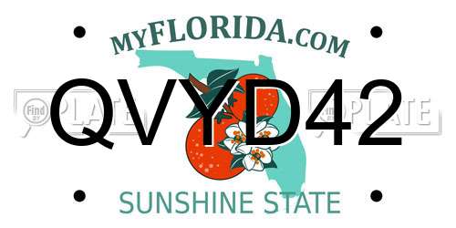QVYD42 Florida License Plate