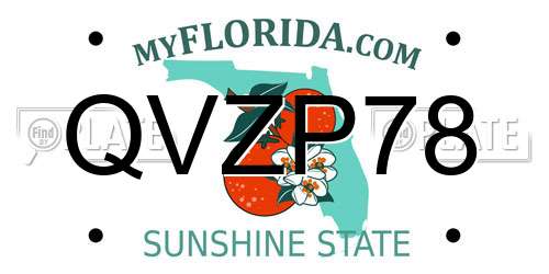 QVZP78 Florida License Plate