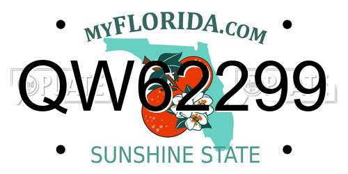 QW62299 Florida License Plate