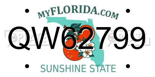 QW62799 Florida License Plate