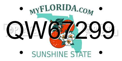 QW67299 Florida License Plate