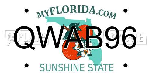 QWAB96 Florida License Plate