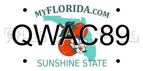 QWAC89 Florida License Plate