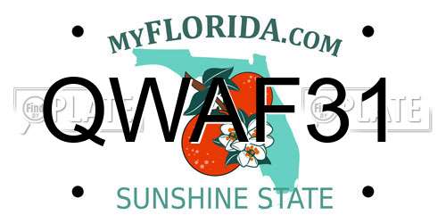 QWAF31 Florida License Plate
