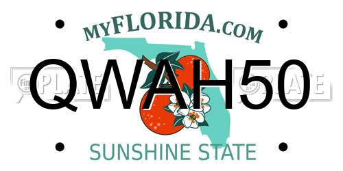 QWAH50 Florida License Plate