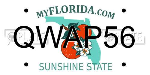 QWAP56 Florida License Plate