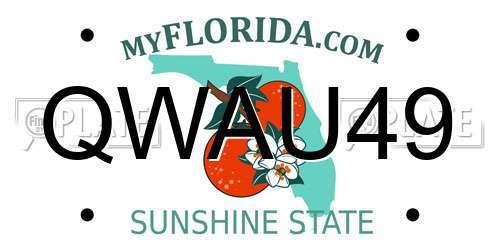 QWAU49 Florida License Plate
