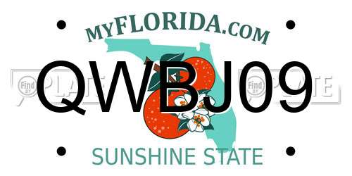 QWBJ09 Florida License Plate