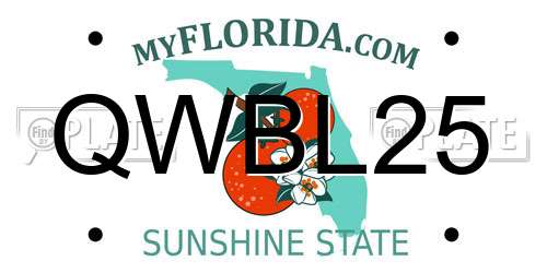 QWBL25 Florida License Plate