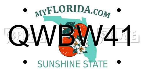 QWBW41 Florida License Plate