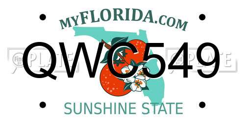 QWC549 Florida License Plate