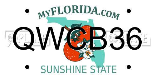 QWCB36 Florida License Plate