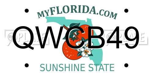 QWCB49 Florida License Plate