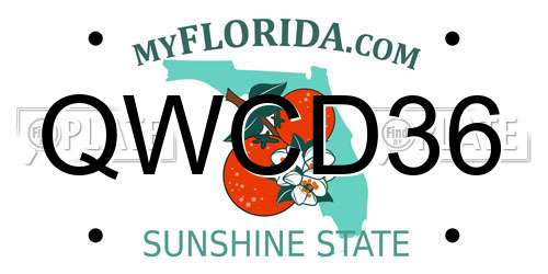 QWCD36 Florida License Plate
