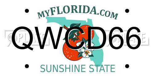 QWCD66 Florida License Plate