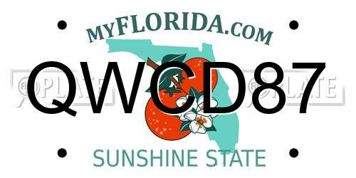 QWCD87 Florida License Plate